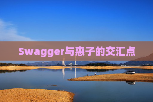 Swagger与惠子的交汇点